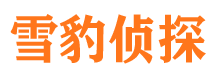 钦北侦探公司